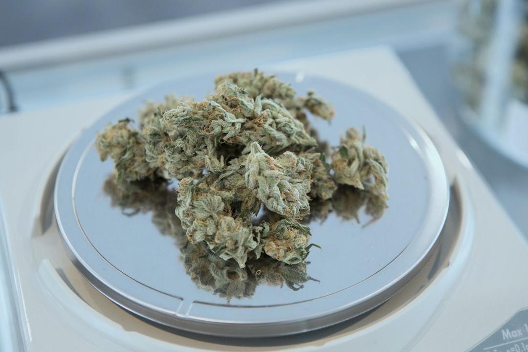 How Much Is an 8th of Weed? Cannabis Measurements Explained