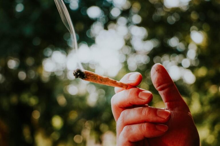 What_Are_the_Best_Papers_for_Weed_Your_Full_Guide_Image